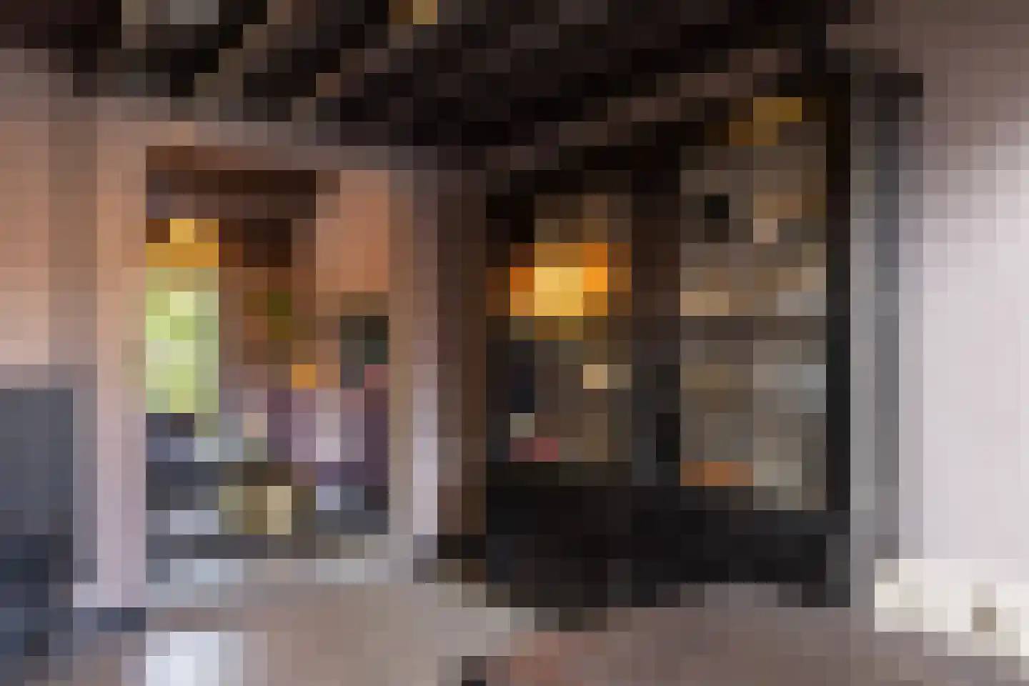 Straat van Sevenhuysen 8 Harderwijk thumbnail 17