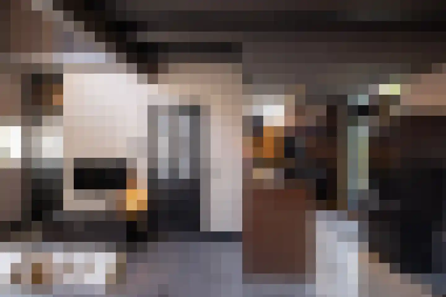 Straat van Sevenhuysen 8 Harderwijk thumbnail 20