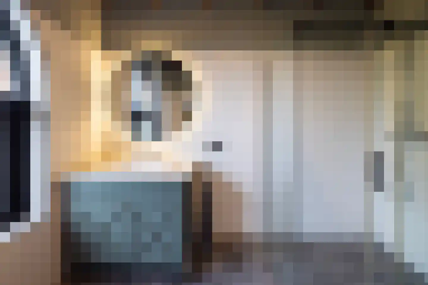 Straat van Sevenhuysen 8 Harderwijk thumbnail 36