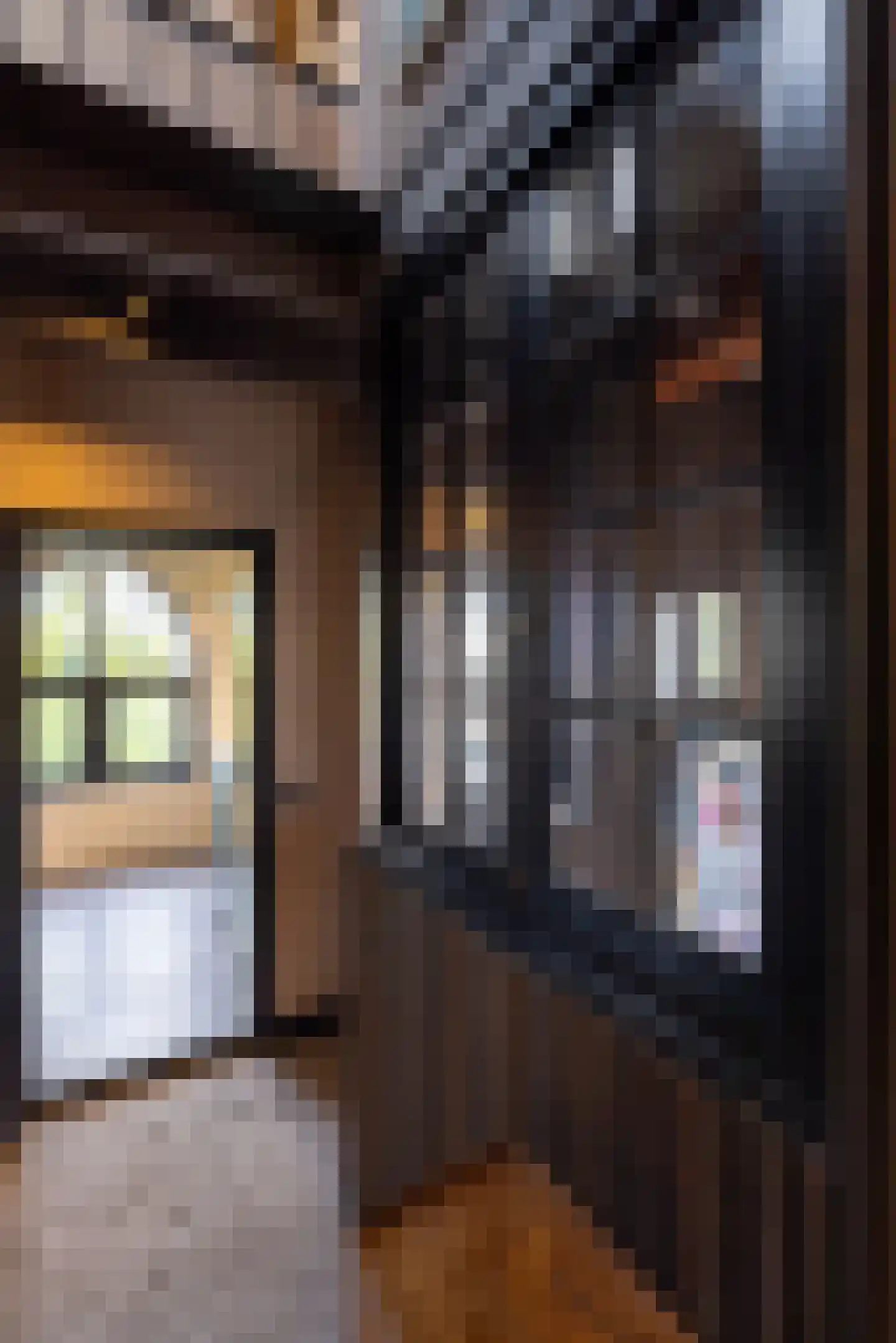 Straat van Sevenhuysen 8 Harderwijk thumbnail 38