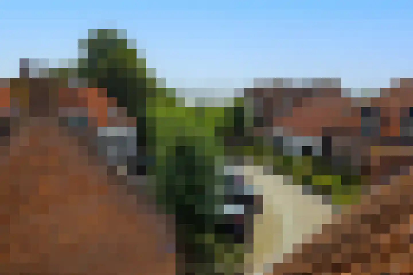 Straat van Sevenhuysen 8 Harderwijk thumbnail 47