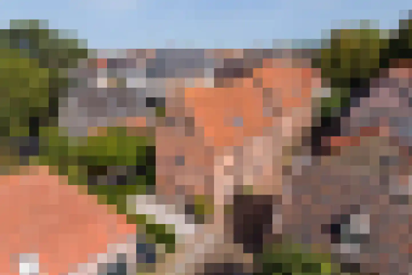 Straat van Sevenhuysen 8 Harderwijk thumbnail 5