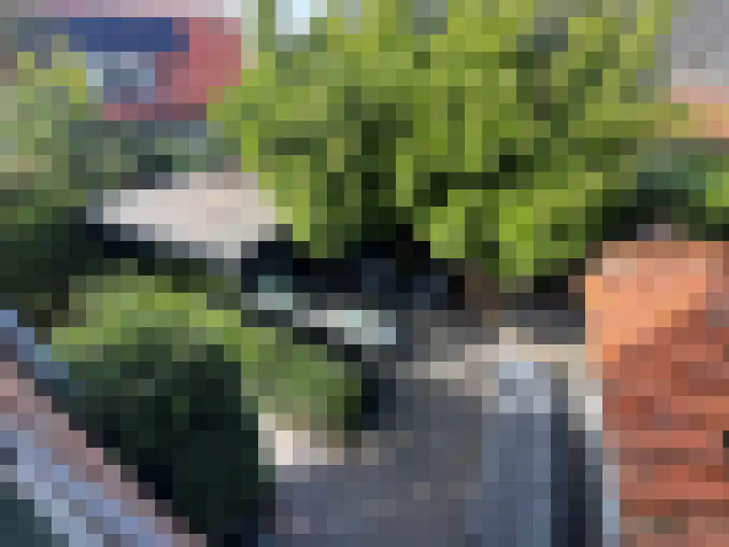 Straat van Sevenhuysen 8 Harderwijk thumbnail 54