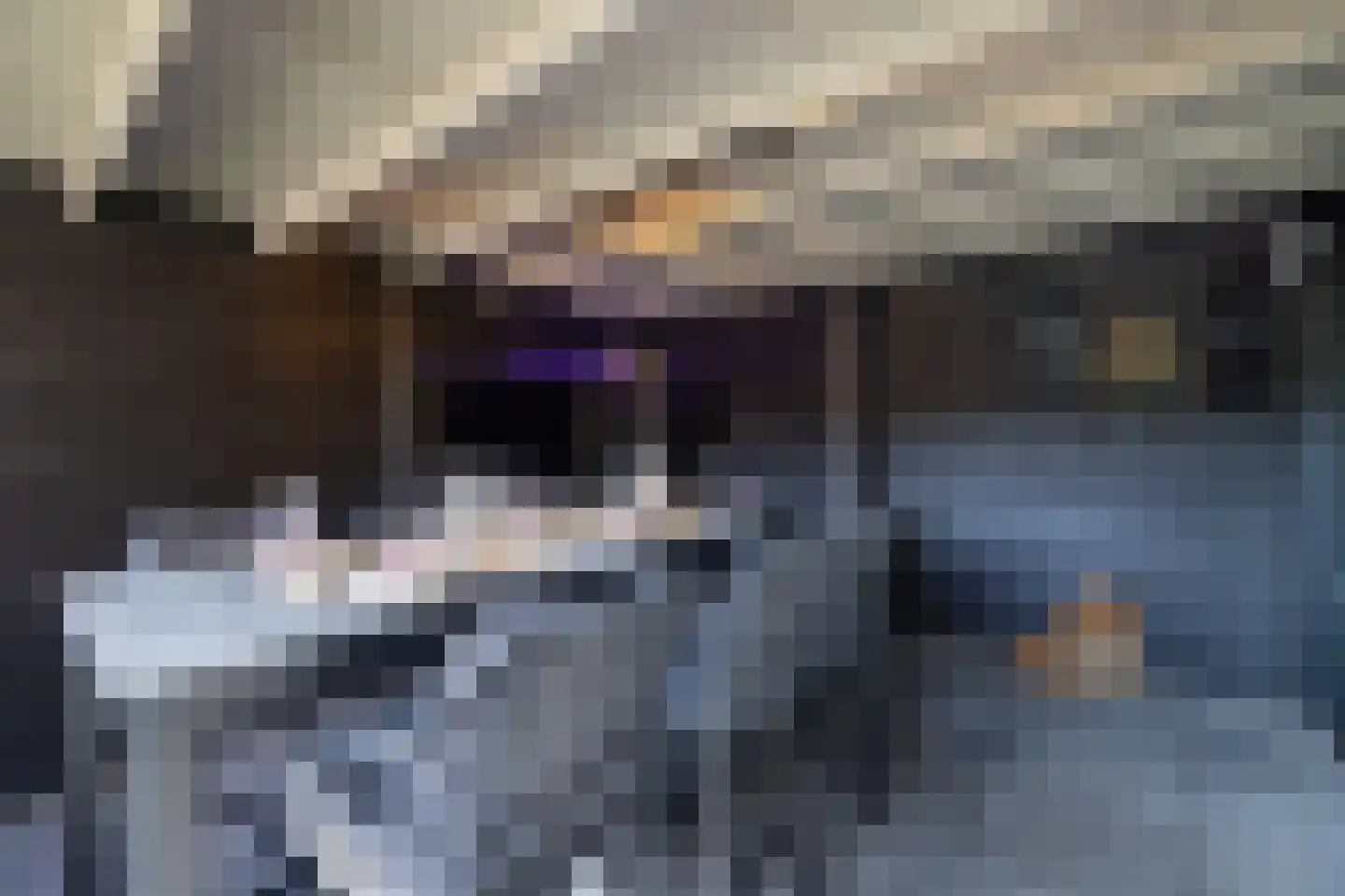 Straat van Sevenhuysen 8 Harderwijk thumbnail 58