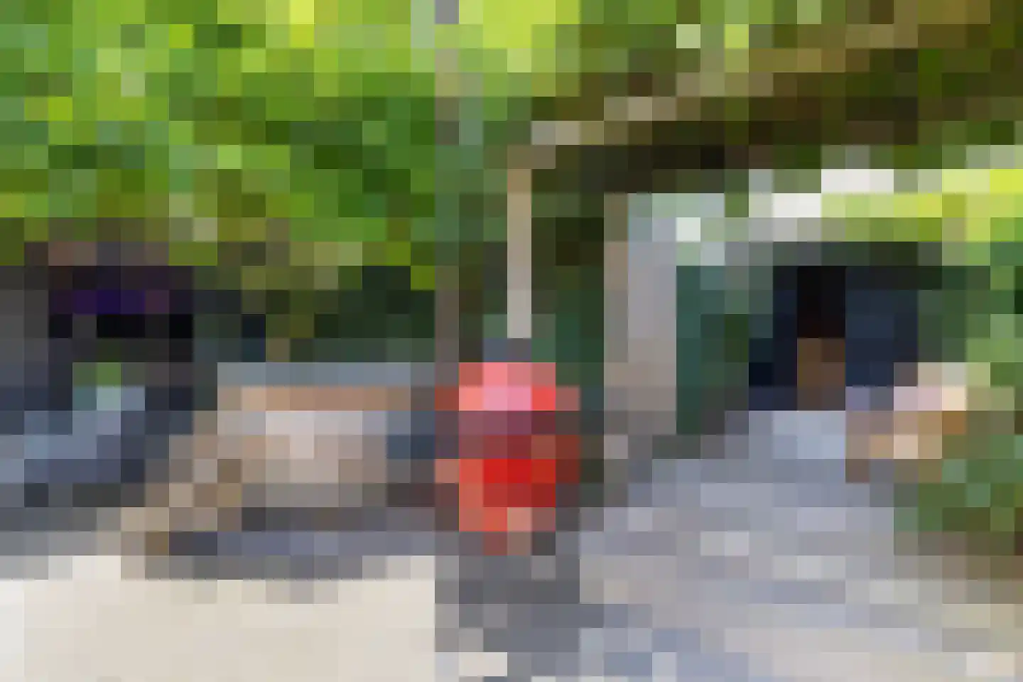 Straat van Sevenhuysen 8 Harderwijk thumbnail 59