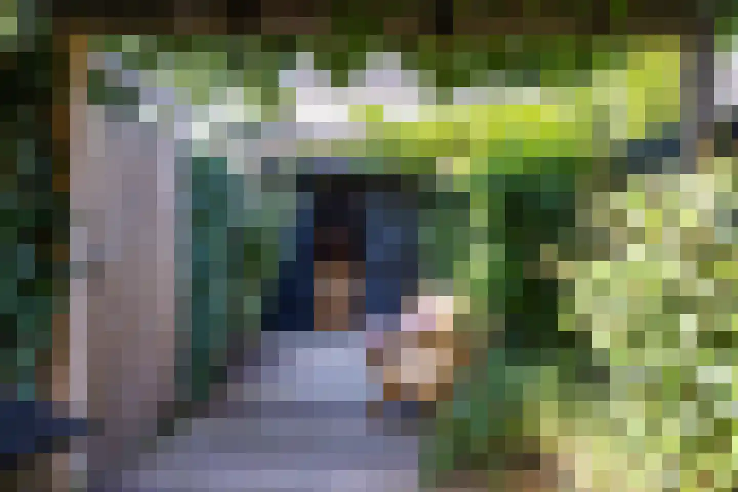 Straat van Sevenhuysen 8 Harderwijk thumbnail 60