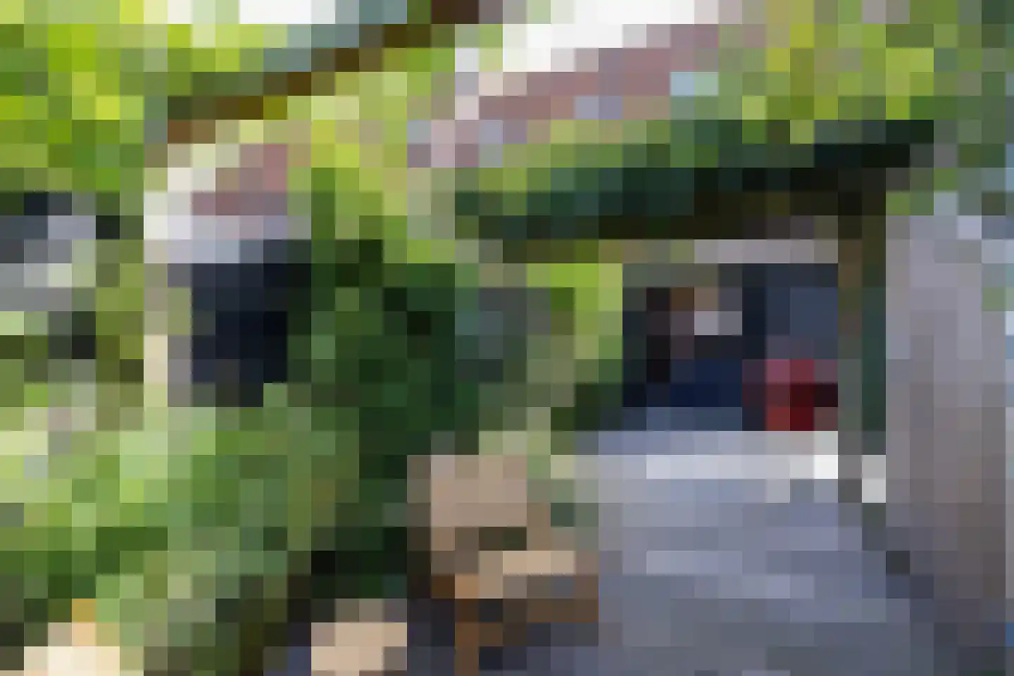 Straat van Sevenhuysen 8 Harderwijk thumbnail 65