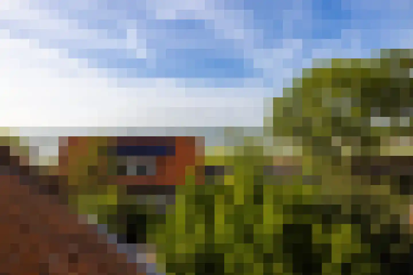 Straat van Sevenhuysen 8 Harderwijk thumbnail 66
