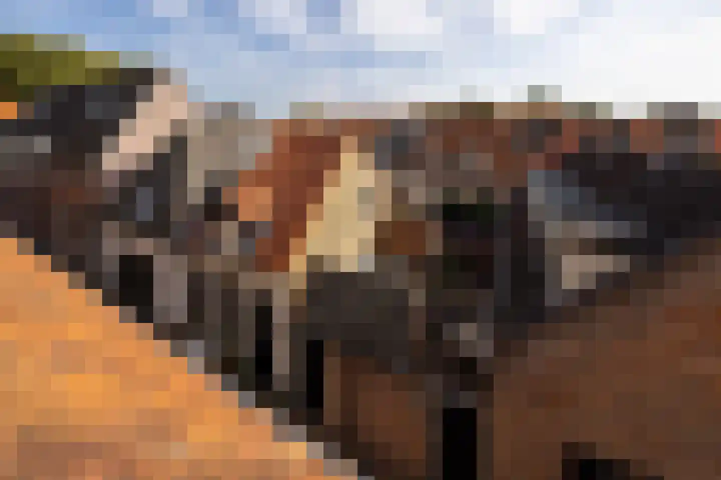 Straat van Sevenhuysen 8 Harderwijk thumbnail 70