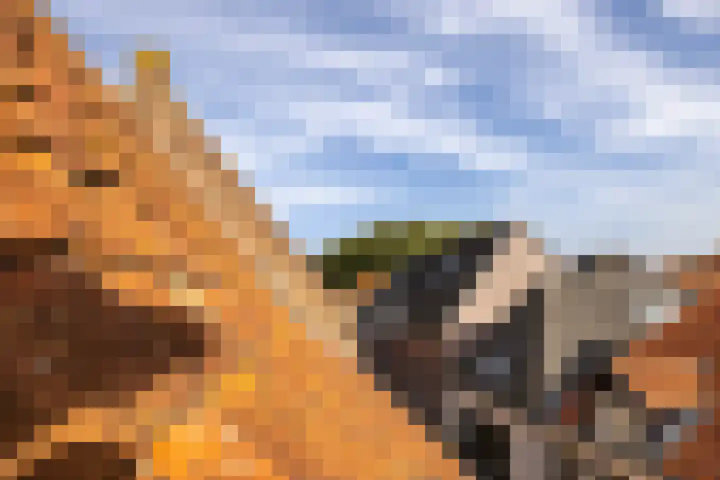 Straat van Sevenhuysen 8 Harderwijk thumbnail 71