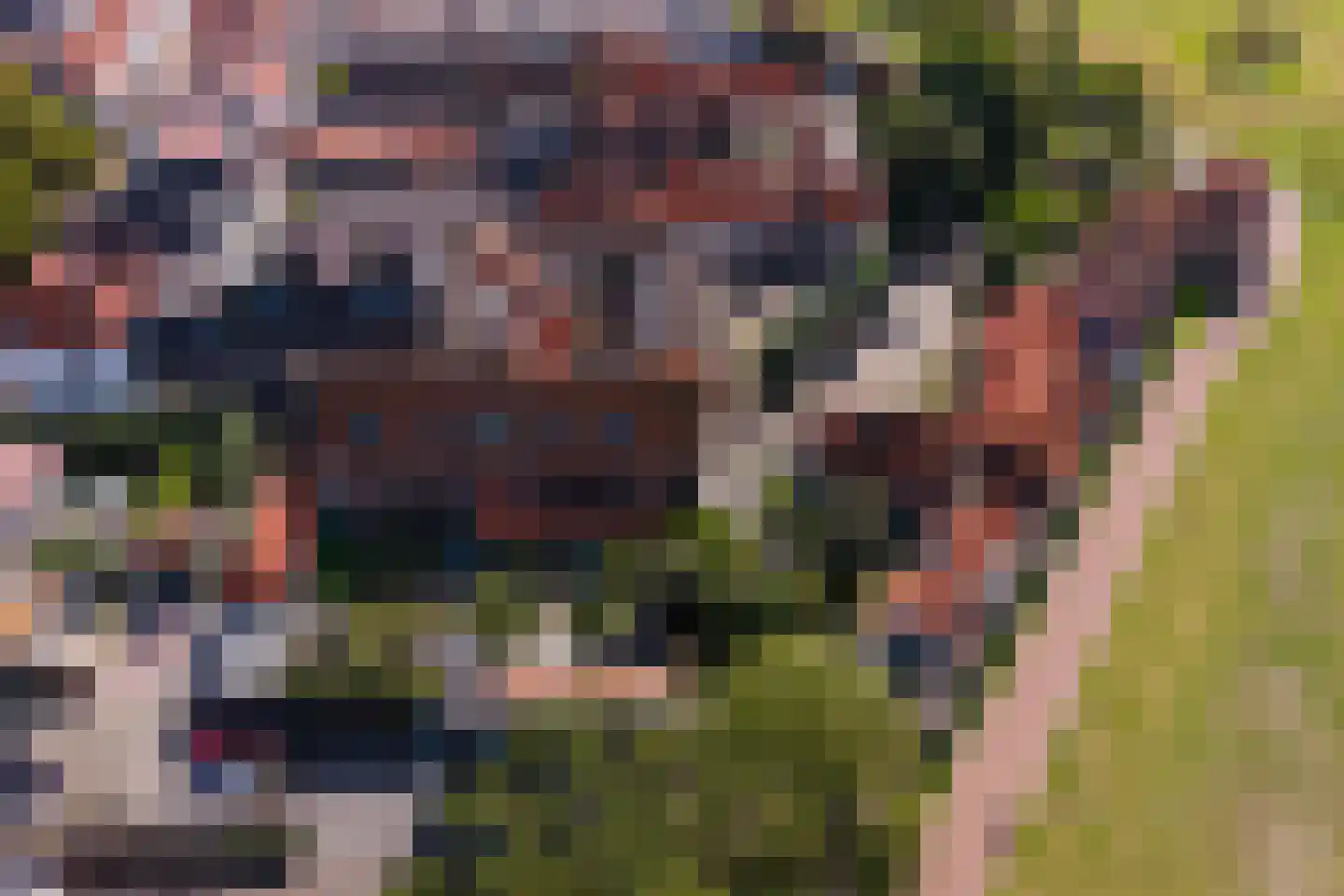 Straat van Sevenhuysen 8 Harderwijk thumbnail 79