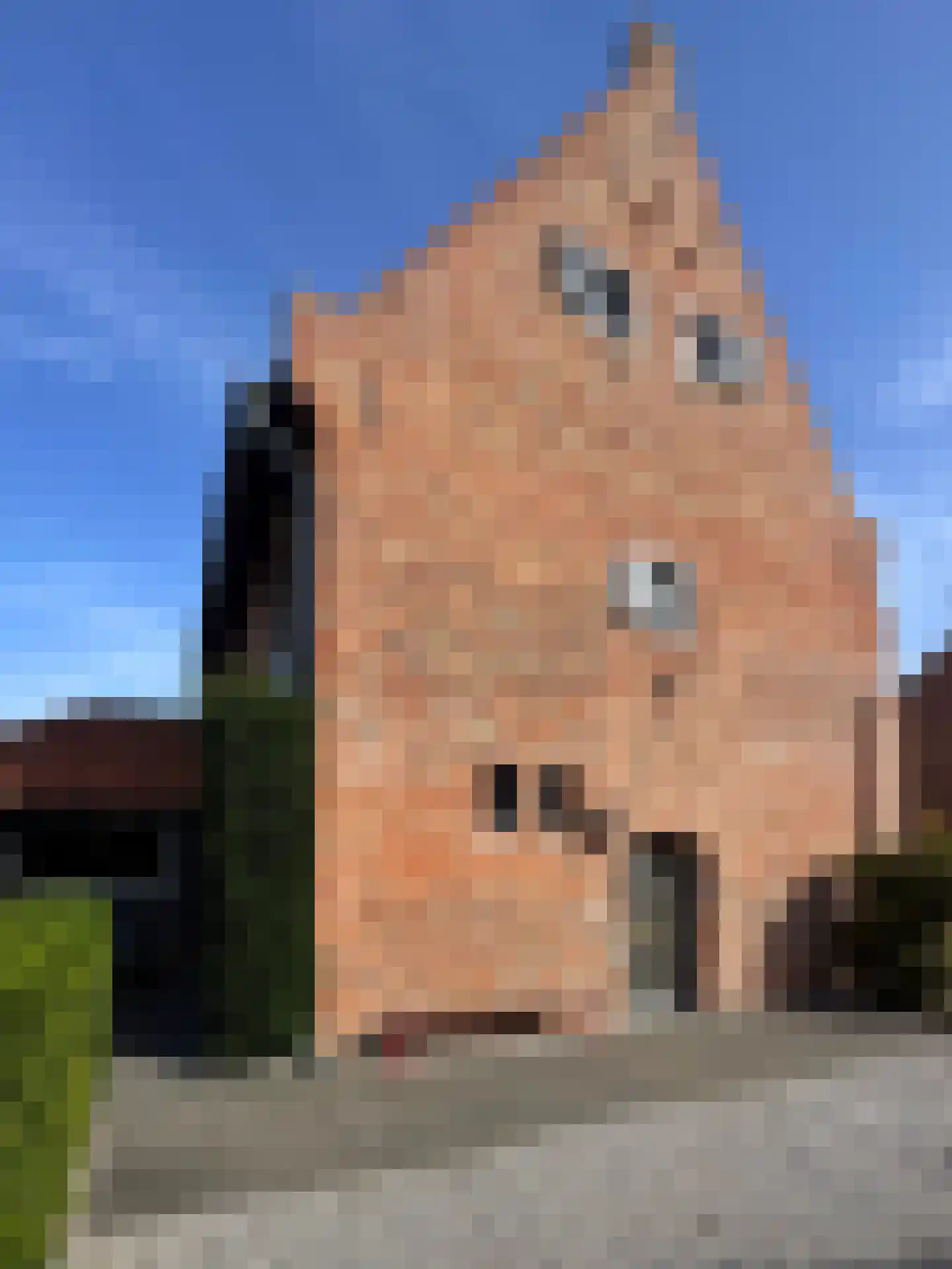 Straat van Sevenhuysen 8 Harderwijk thumbnail 8