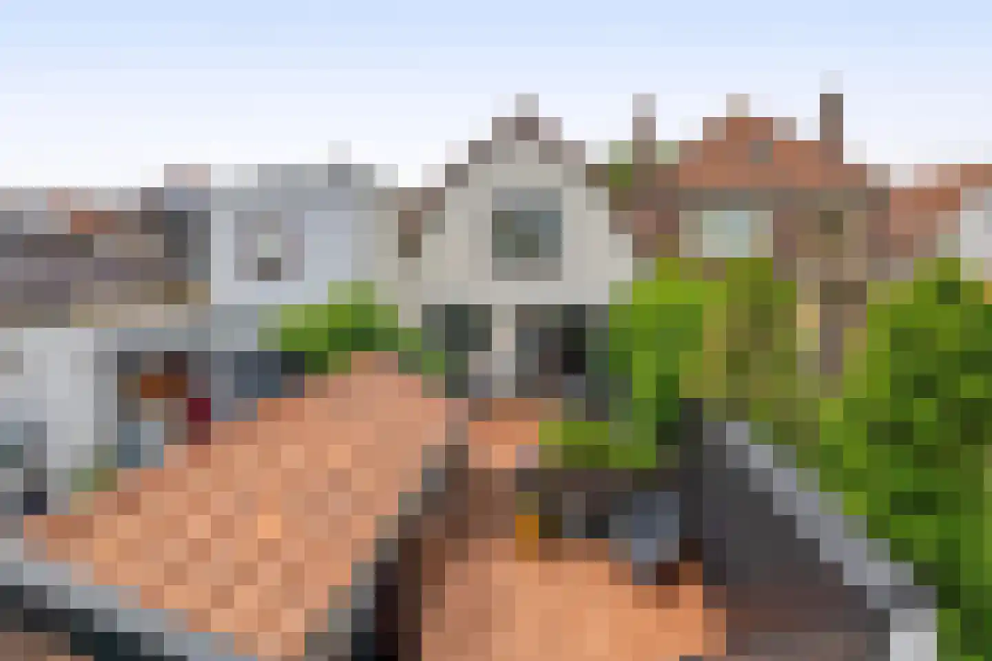 Straatdijk 17 Dirksland thumbnail 18