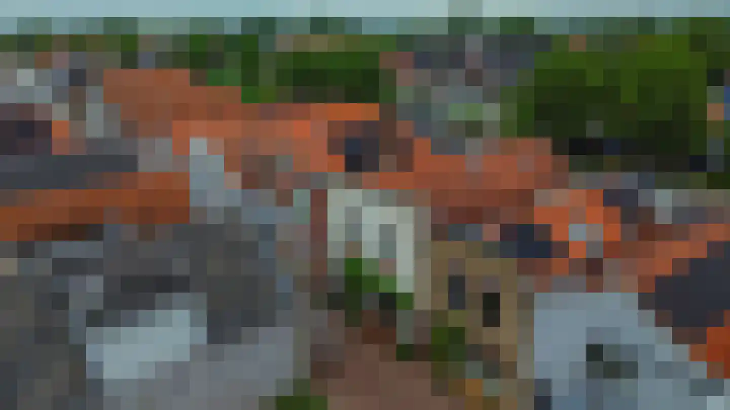 Straatdijk 17 Dirksland thumbnail 20