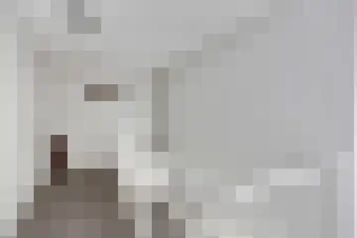 Straatgras 10 Zeewolde thumbnail 24