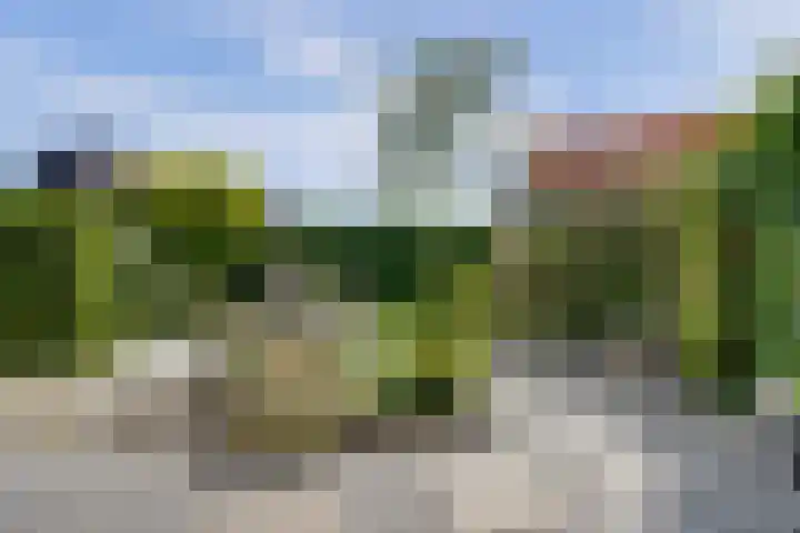 Straatgras 10 Zeewolde thumbnail 31