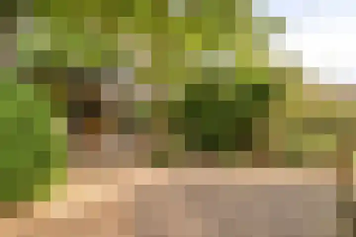 Straatgras 2 Zeewolde thumbnail 23