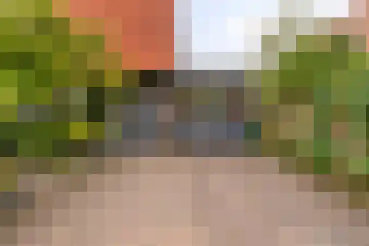 Straatgras 2 Zeewolde thumbnail 4