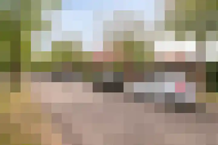 Straatgras 2 Zeewolde thumbnail 5