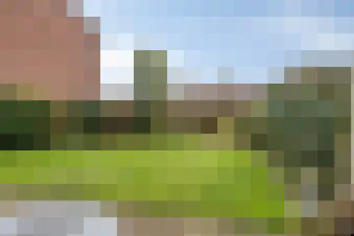 Straatmakershoeve 396 Apeldoorn thumbnail 14
