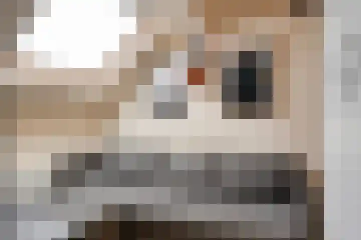 Straatmakershoeve 396 Apeldoorn thumbnail 28