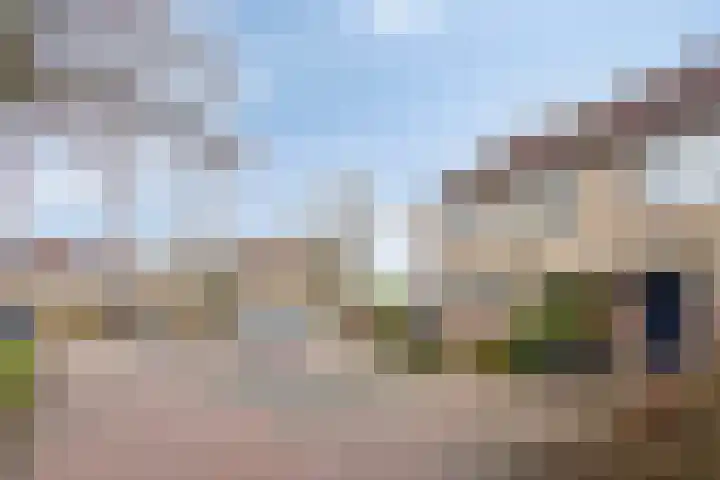Straatmakershoeve 396 Apeldoorn thumbnail 4