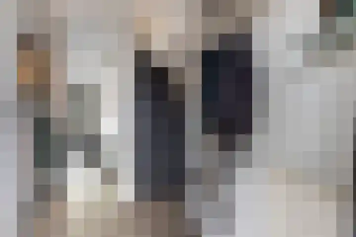 Straatmakershoeve 398 Apeldoorn thumbnail 5