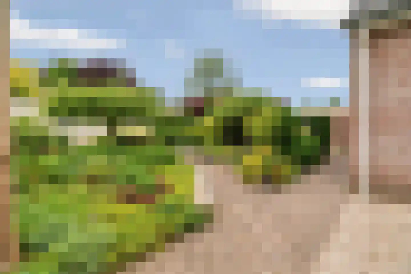 Straatsburg 3 Zevenaar thumbnail 46