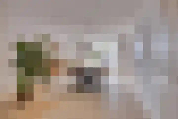 Straatsburglaan 10 Sittard thumbnail 18