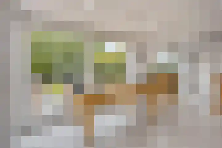 Straatsburglaan 10 Sittard thumbnail 37