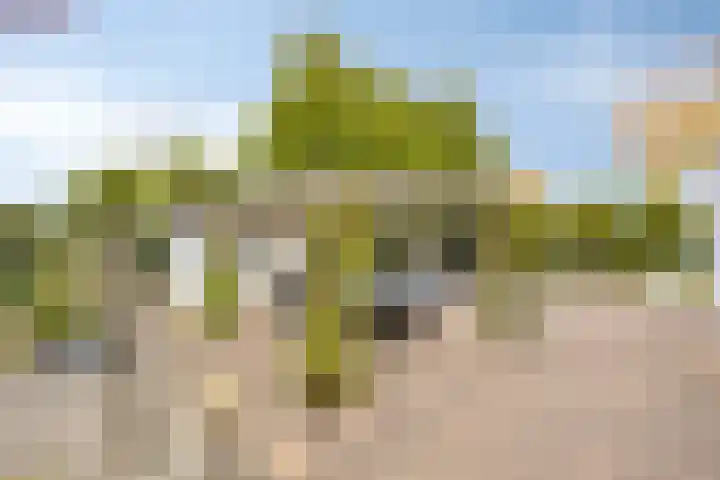 Straatsburglaan 10 Sittard thumbnail 43