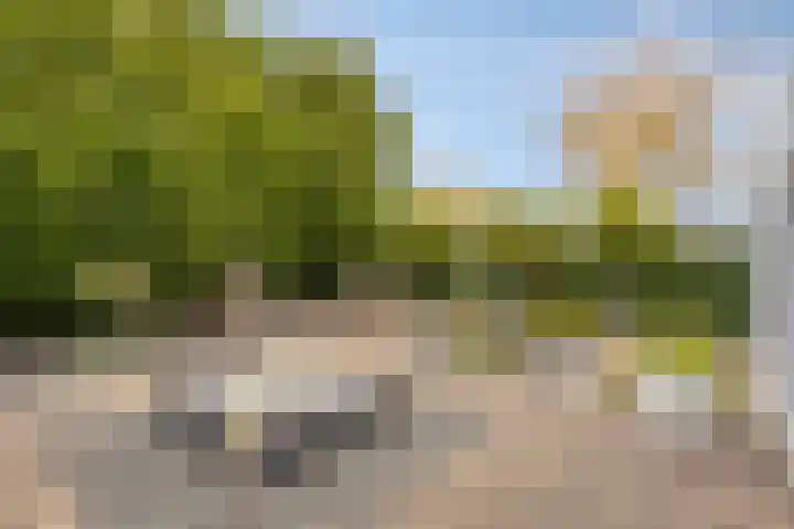 Straatsburglaan 10 Sittard thumbnail 45