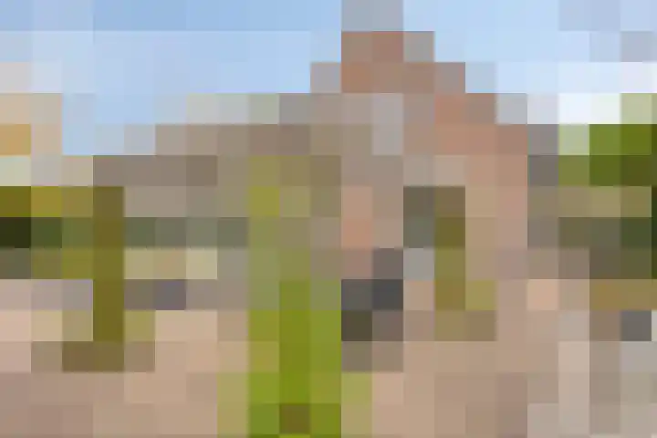 Straatsburglaan 10 Sittard thumbnail 46