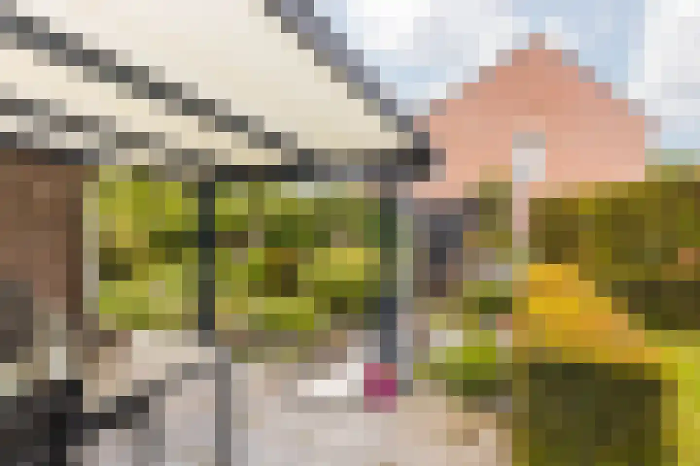 Straatsburglaan 105 Sittard thumbnail 25