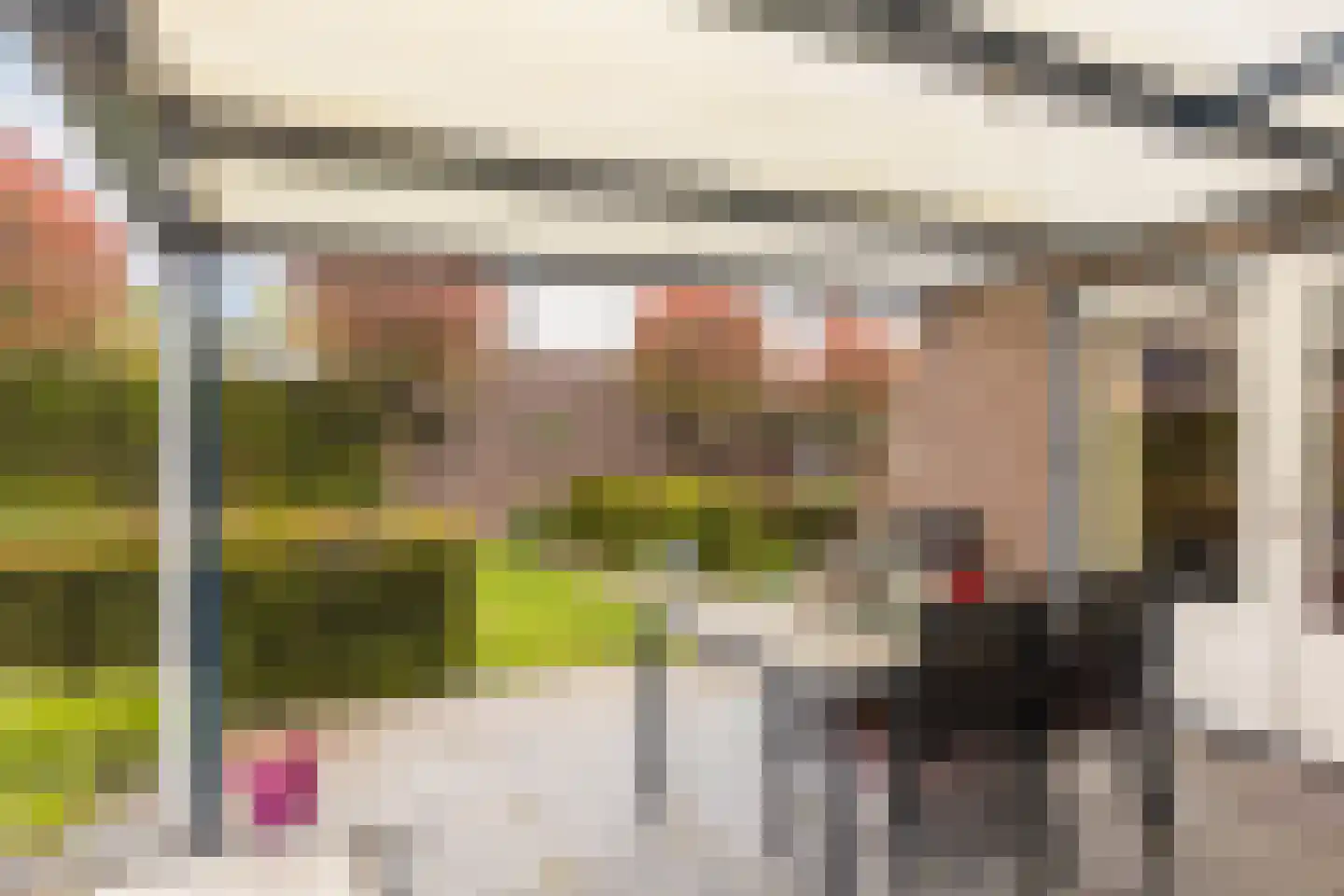 Straatsburglaan 105 Sittard thumbnail 26