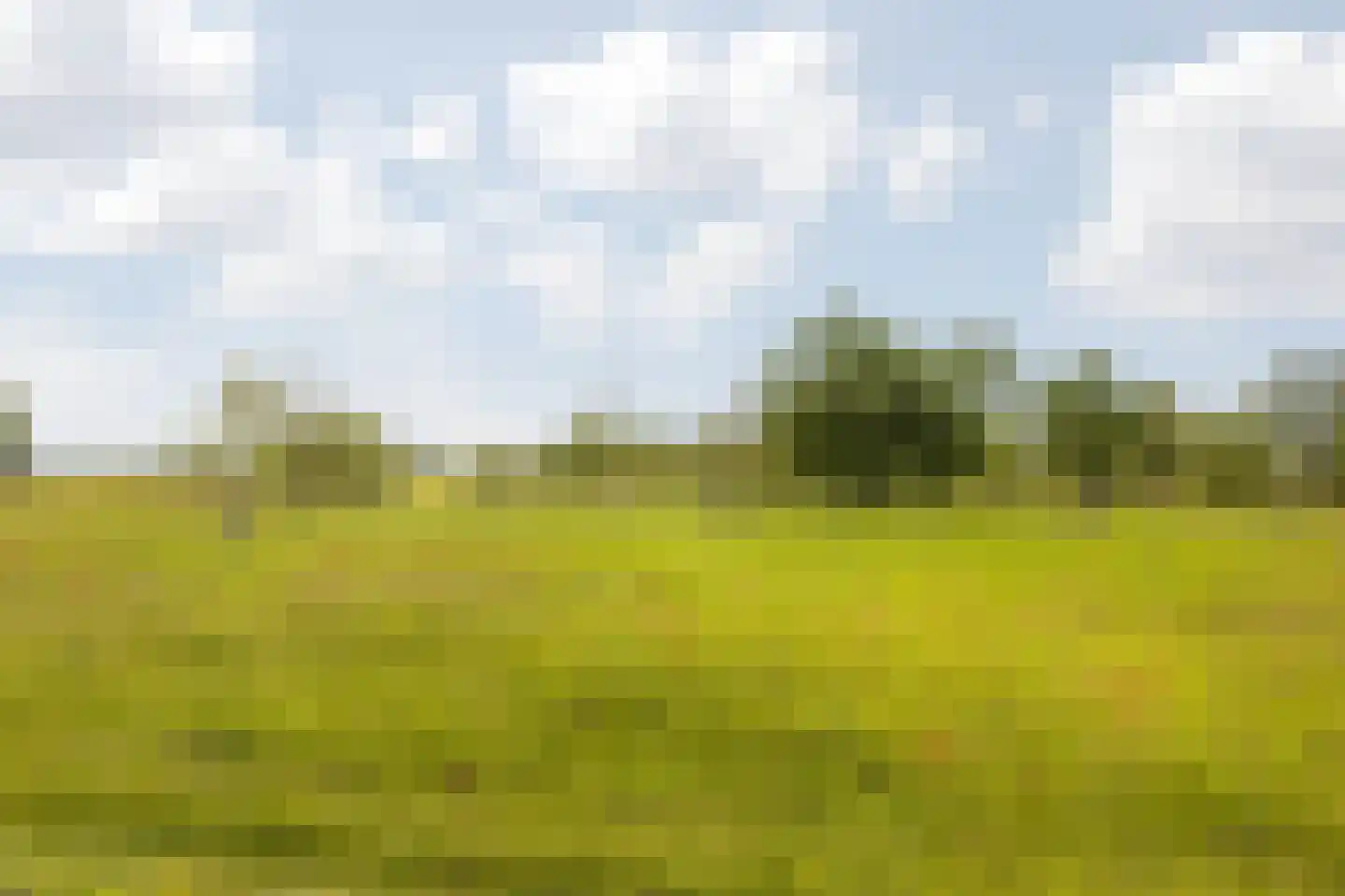 Straatsburglaan 105 Sittard thumbnail 30