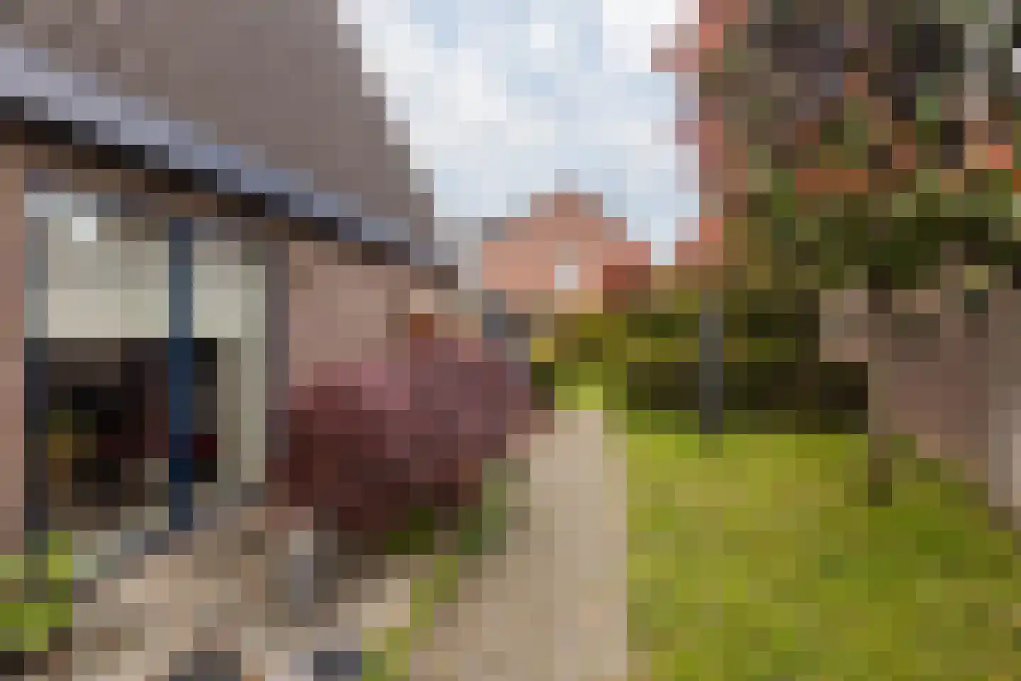 Straatsburglaan 105 Sittard thumbnail 31