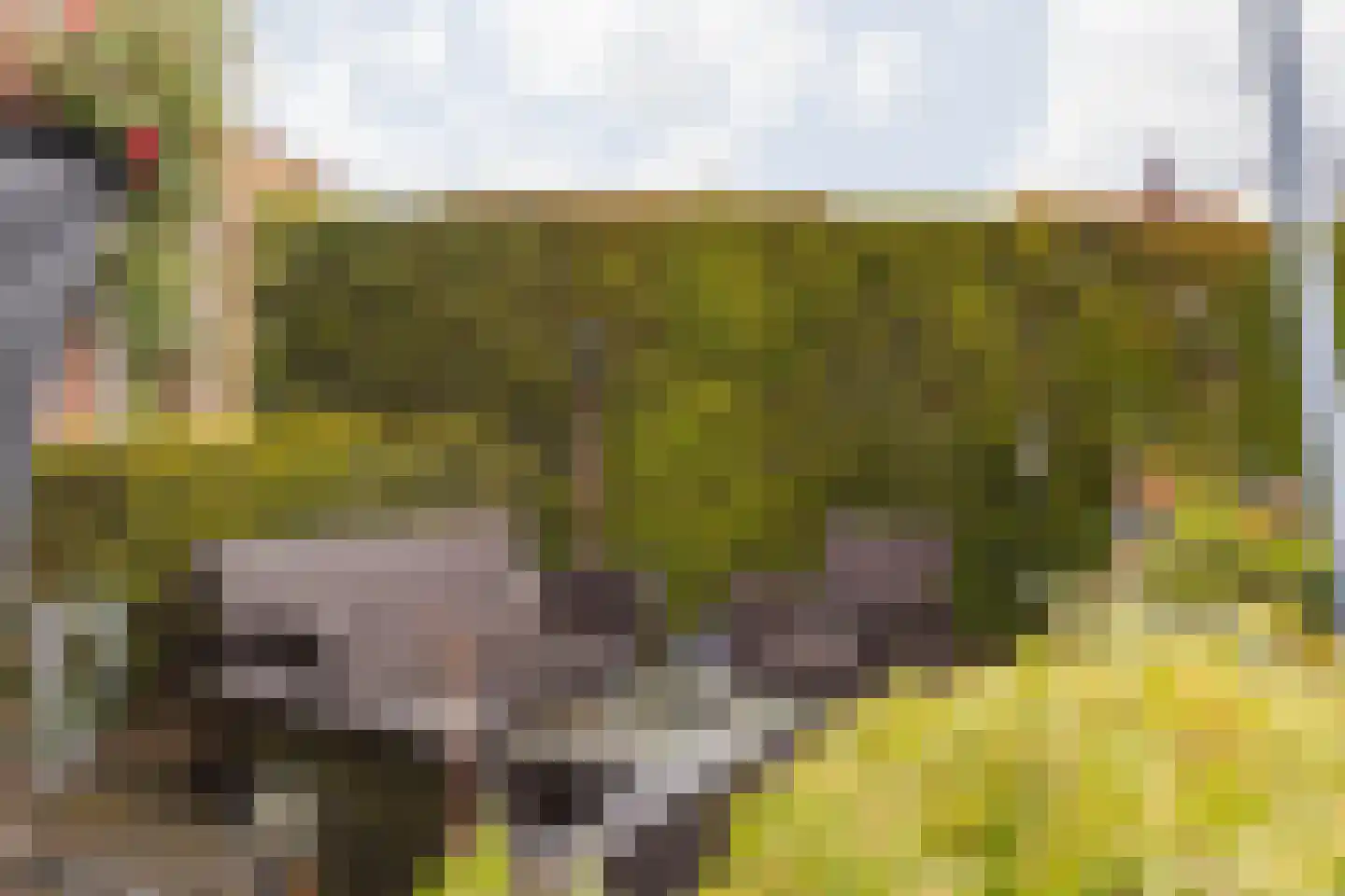Straatsburglaan 105 Sittard thumbnail 34