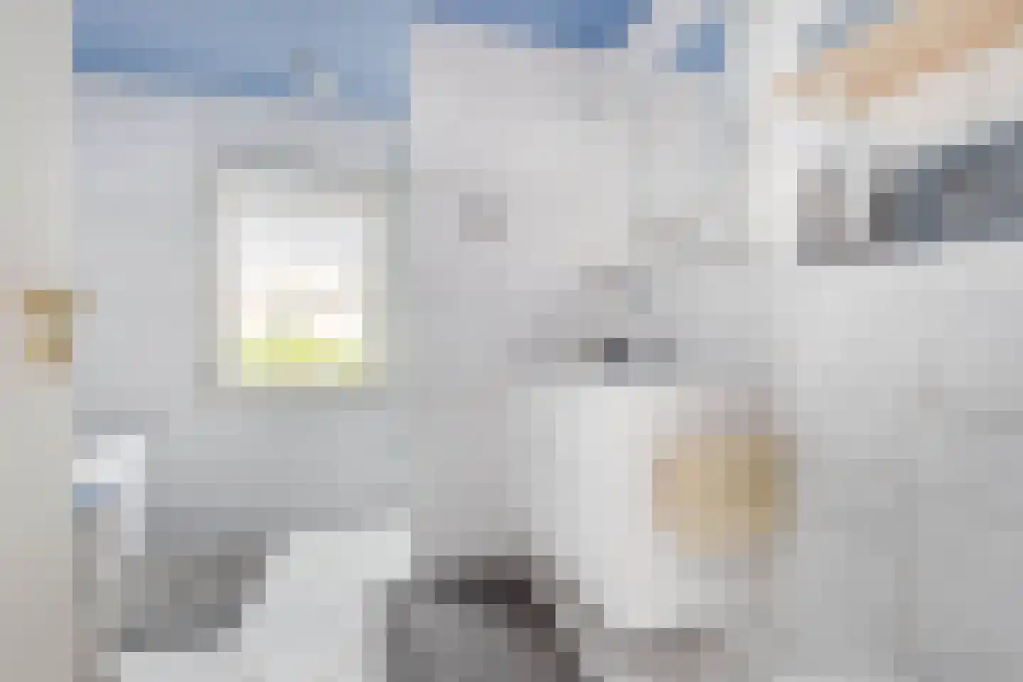 Straatsburglaan 105 Sittard thumbnail 4