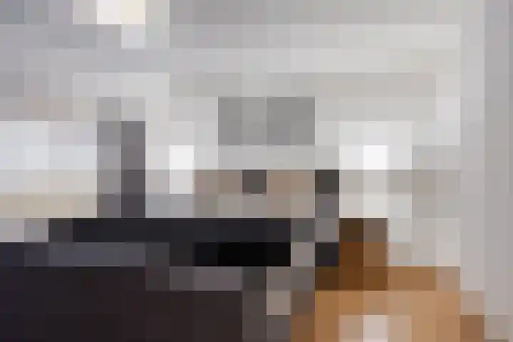Straatsburglaan 15 Eindhoven thumbnail 22