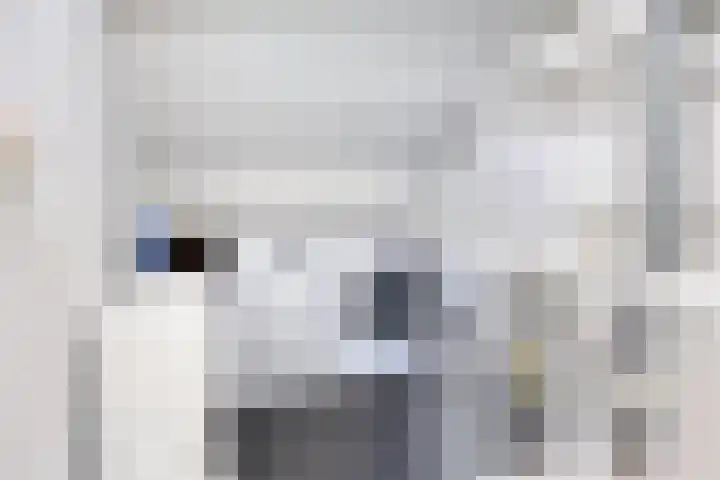 Straatsburglaan 15 Eindhoven thumbnail 28
