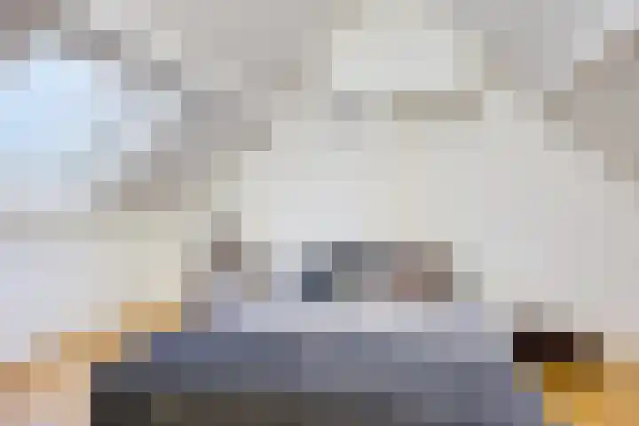 Straatsburglaan 15 Eindhoven thumbnail 29