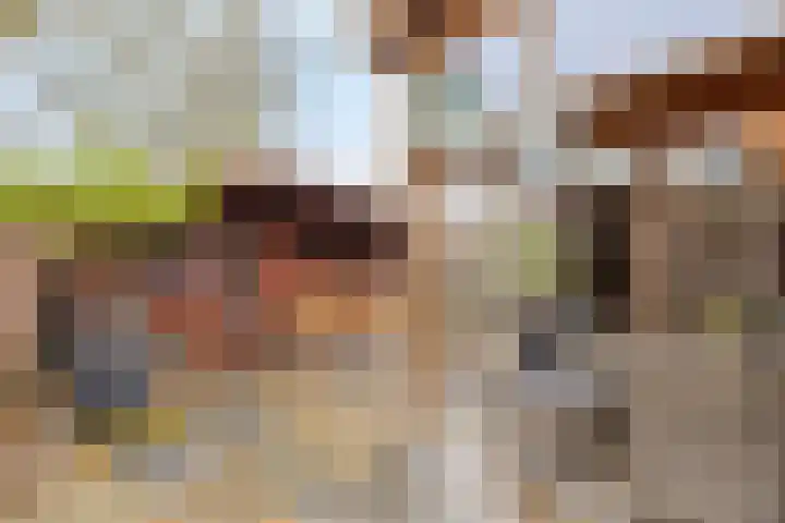 Straatsburglaan 15 Eindhoven thumbnail 32