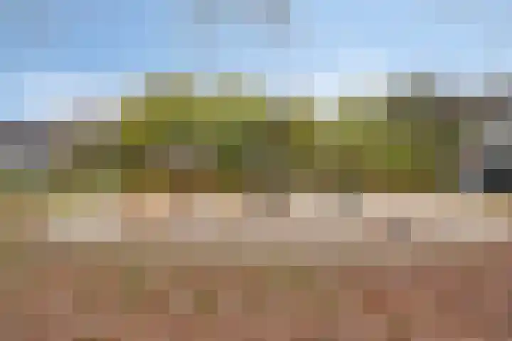 Straatsburglaan 15 Eindhoven thumbnail 41