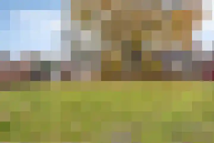 Straatsburglaan 15 Eindhoven thumbnail 42