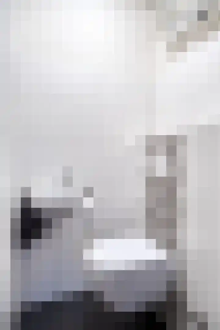Straatsburglaan 15 Eindhoven thumbnail 6