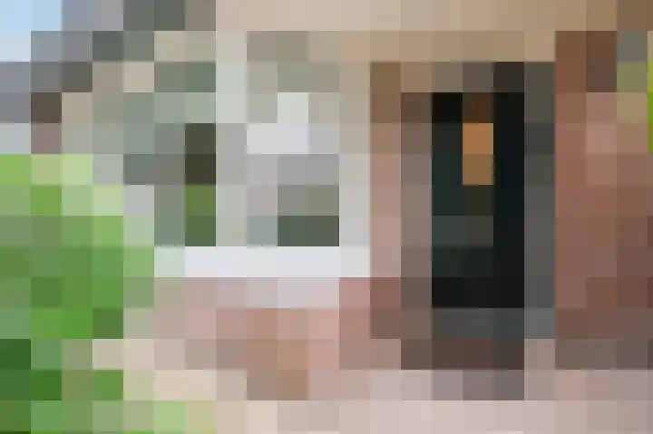 Straatsburglaan 20 Eindhoven thumbnail 10