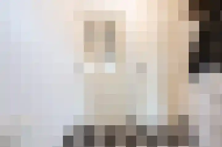 Straatsburglaan 20 Eindhoven thumbnail 11