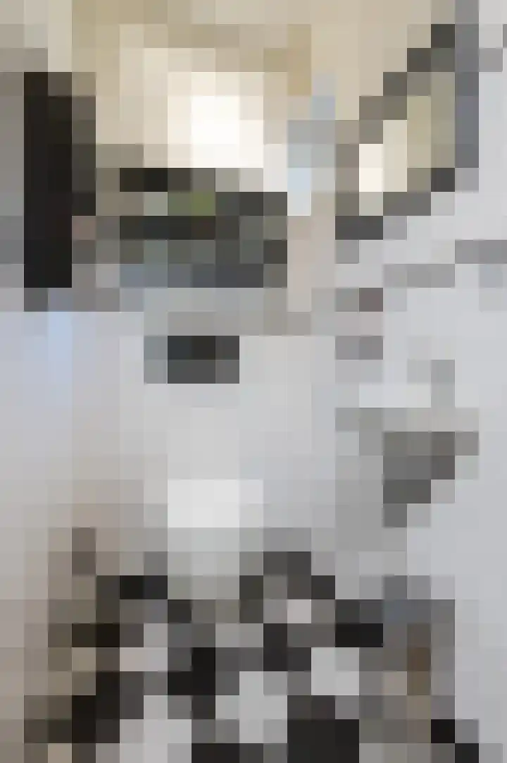 Straatsburglaan 20 Eindhoven thumbnail 13