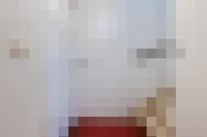 Straatsburglaan 20 Eindhoven thumbnail 21
